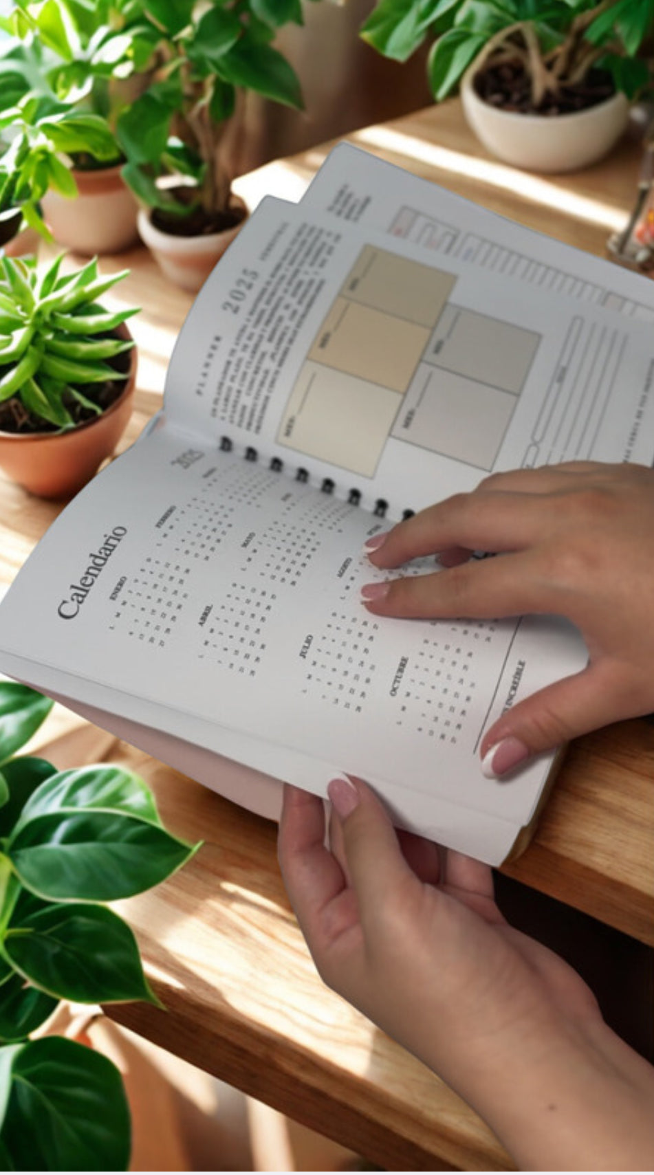 Agenda Personalizada, TODO EN 1 Vive & Agradece